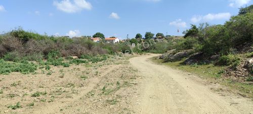 Arsa-Tarla