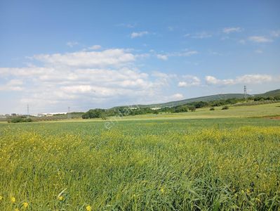 Arsa-Tarla