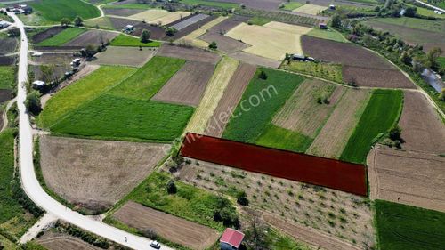 Arsa-Tarla