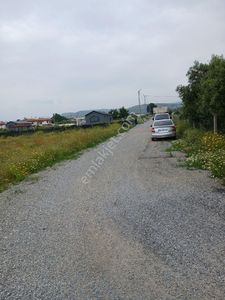 Arsa-Bağ & Bahçe