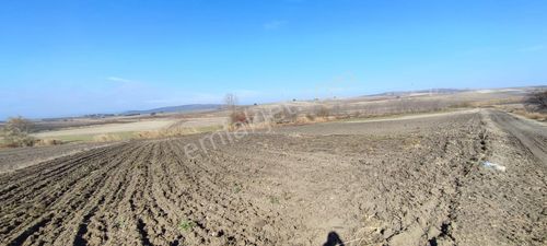 Arsa-Tarla
