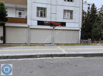 İşyeri-Dükkan & Mağaza