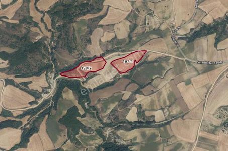 Arsa-Tarla