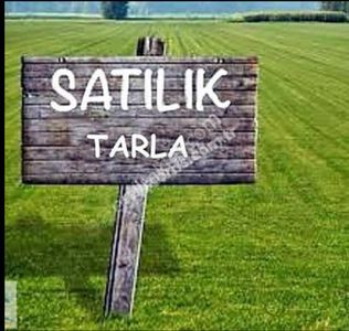 Arsa-Tarla
