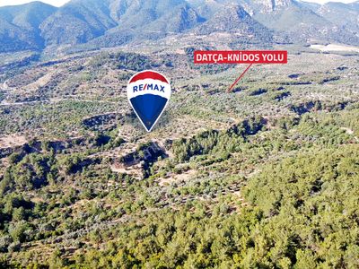 Arsa-Tarla