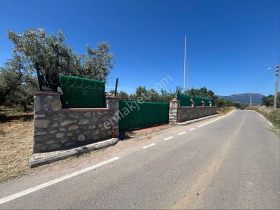 Arsa-Tarla