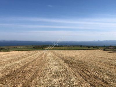 Arsa-Tarla