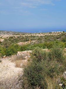 Arsa-Tarla