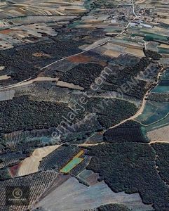 Arsa-Tarla