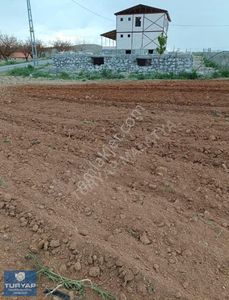 Arsa-Bağ & Bahçe