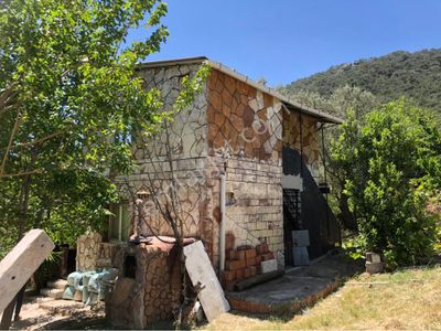 Arsa-Zeytinlik