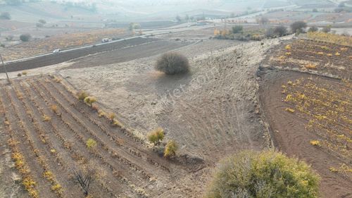Arsa-Bağ & Bahçe