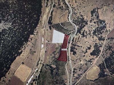 Arsa-Tarla