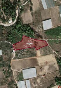 Arsa-Tarla