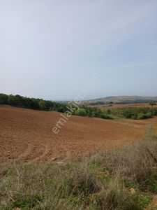 Arsa-Tarla