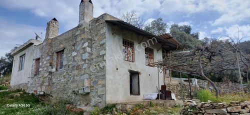Konut-Köy Evi