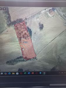 Arsa-Tarla