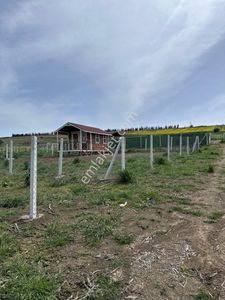 Arsa-Tarla