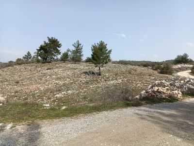 Arsa-Tarla