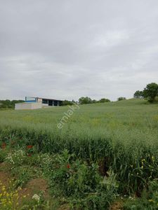 Arsa-Depo, Antrepo İzinli