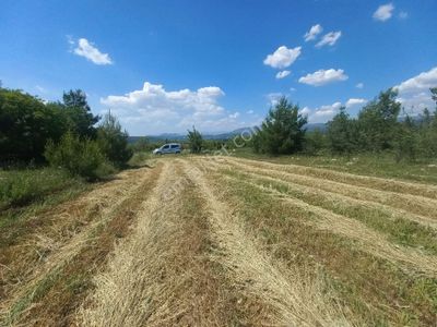 Arsa-Tarla
