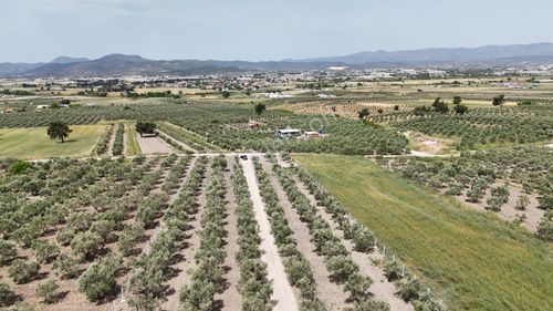Arsa-Tarla