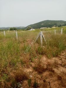 Arsa-Tarla