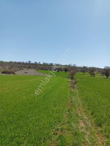Arsa-Tarla