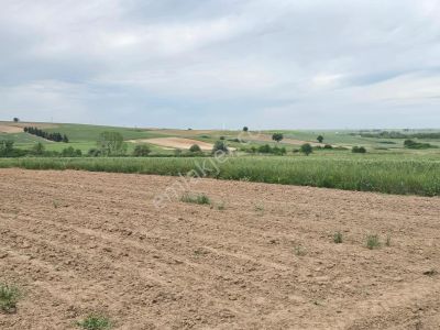 Arsa-Tarla