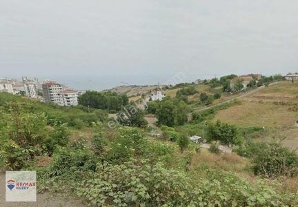 Arsa-Konut İmarlı