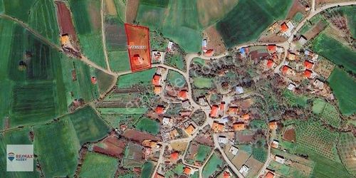 Arsa-Tarla
