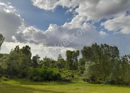 Arsa-Bağ & Bahçe