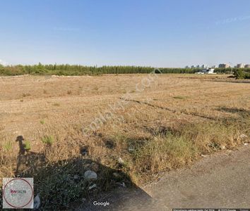 Arsa-Tarla