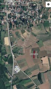 Arsa-Tarla