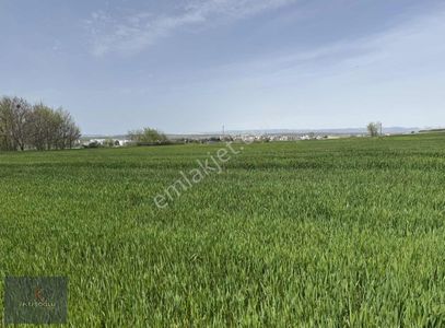 Arsa-Tarla