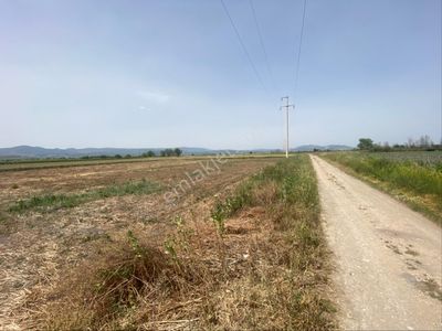Arsa-Tarla