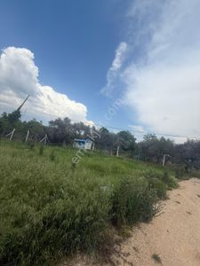 Arsa-Tarla