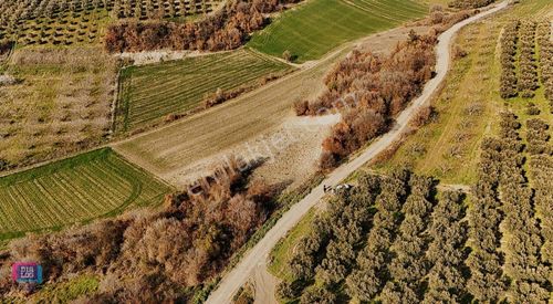 Arsa-Tarla
