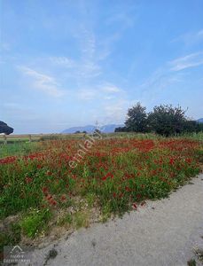 Arsa-Tarla