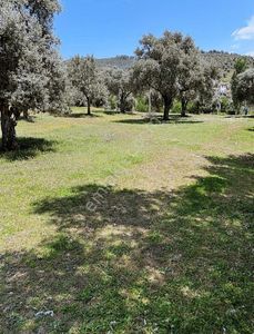 Arsa-Konut İmarlı