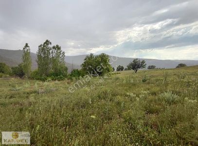Arsa-Tarla