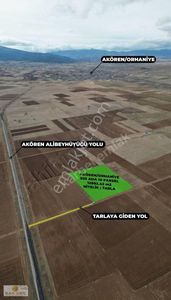 Arsa-Tarla