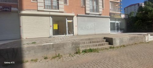 İşyeri-Dükkan & Mağaza