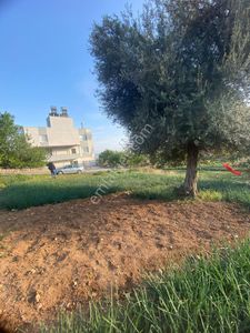 Arsa-Villa İmarlı