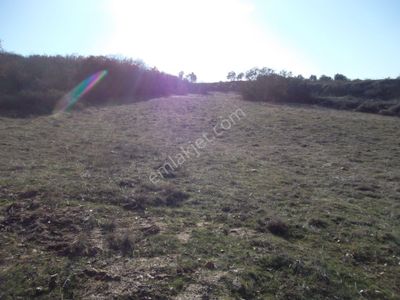 Arsa-Tarla