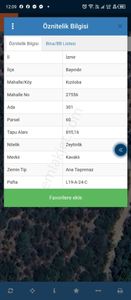 Arsa-Zeytinlik