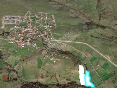 Arsa-Tarla