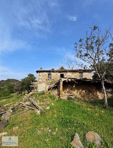 Arsa-Tarla