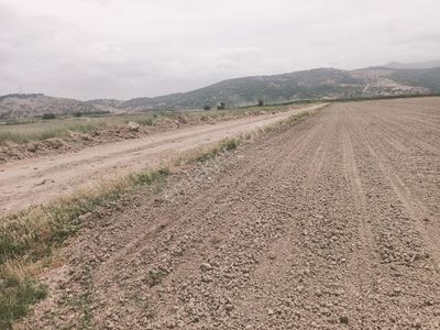 Arsa-Bağ & Bahçe
