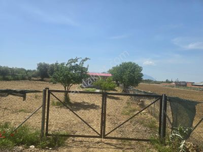 Arsa-Tarla